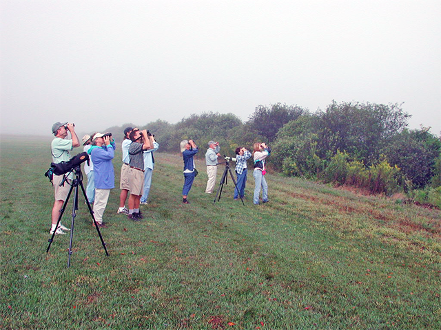 Birders in the Field Photo by Ventures Birding